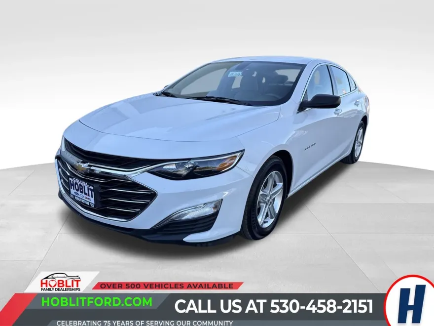 2020 Chevrolet Malibu LS photo 1