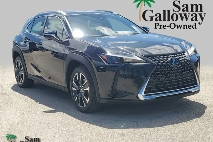 2024 Lexus UX 250h photo 1