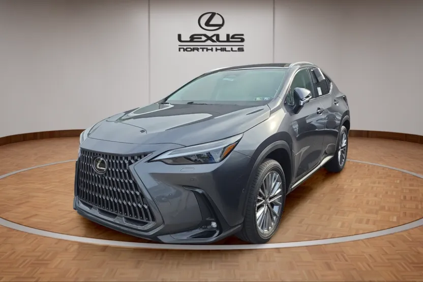 2026 Lexus NX Luxury photo 1