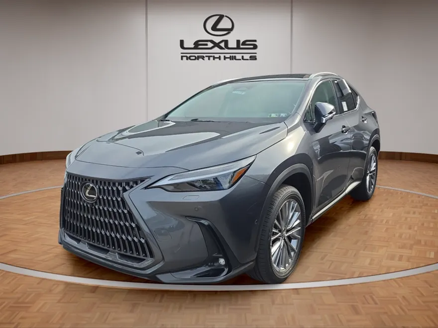 2026 Lexus NX Luxury photo 1