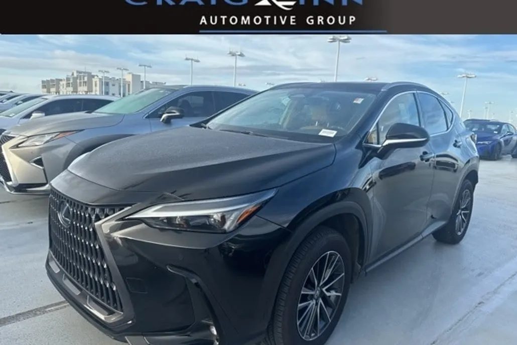 2024 Lexus NX 250 Premium photo 1
