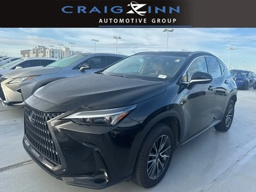 2024 Lexus NX 250 Premium photo 1