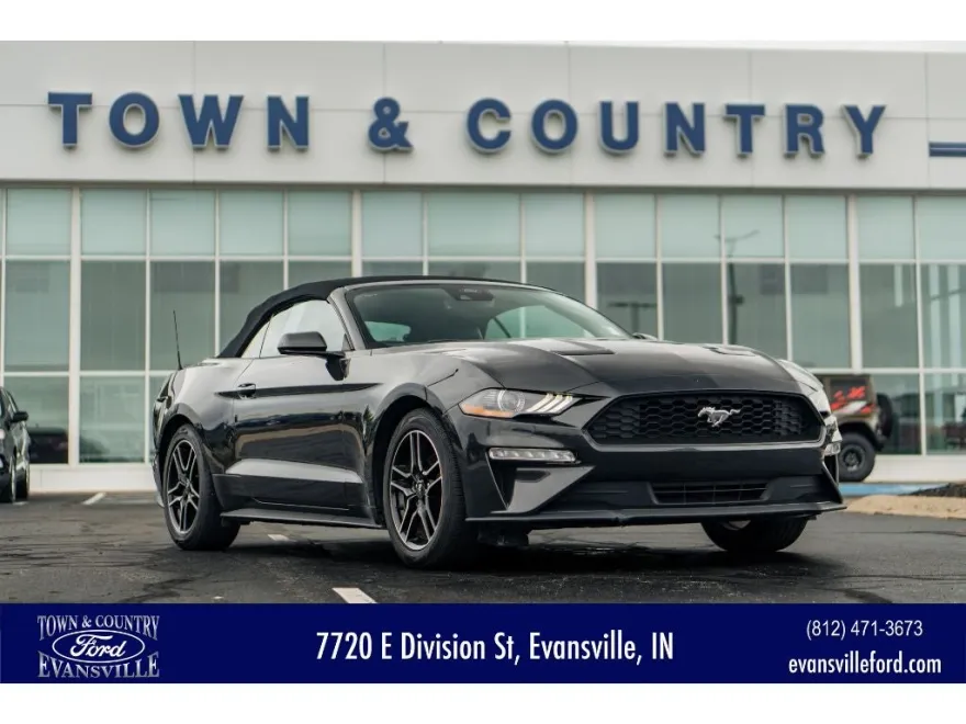 2023 Ford Mustang EcoBoost Premium photo 1