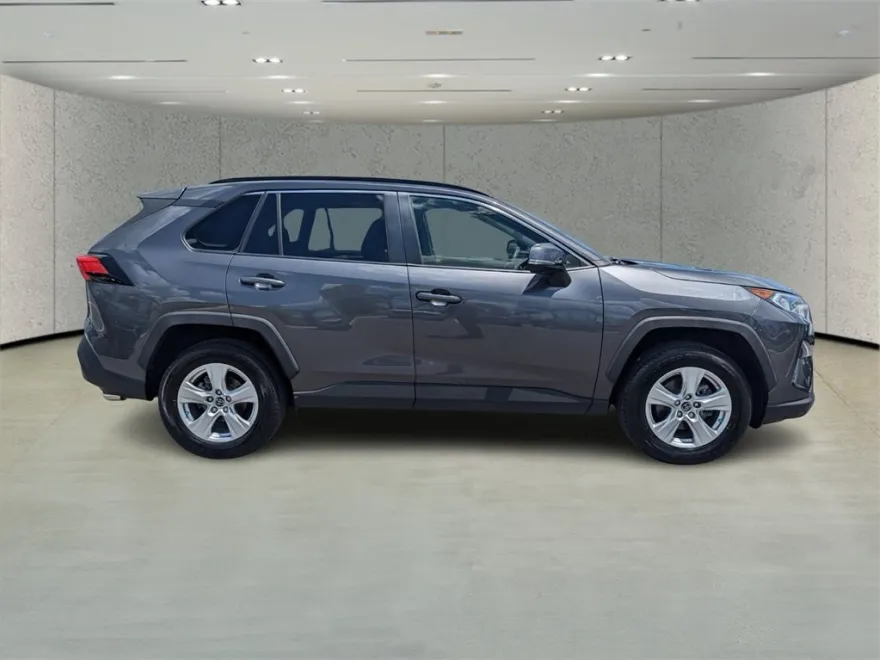 2019 Toyota RAV4 XLE photo 1