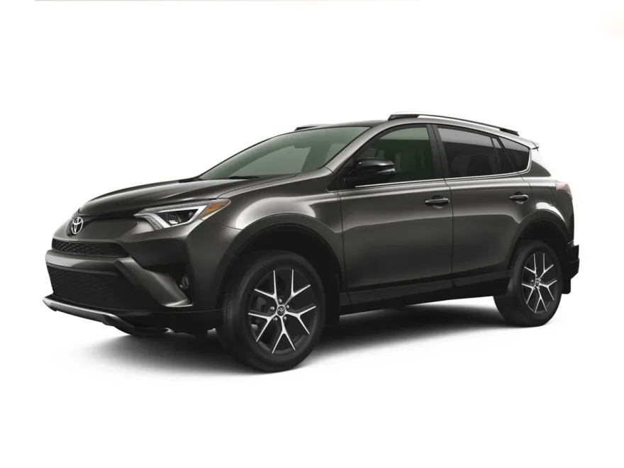 2018 Toyota RAV4 SE photo 1