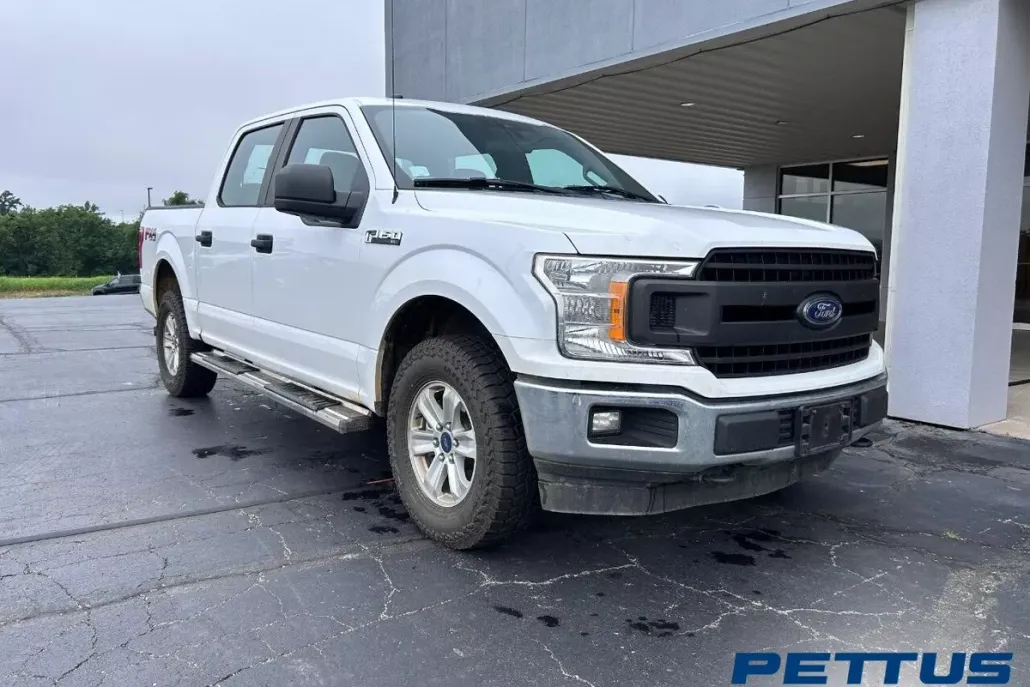 2019 Ford F-150 XL photo 1