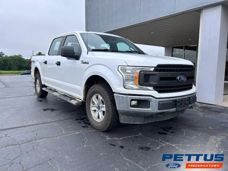 2019 Ford F-150 XL photo 1