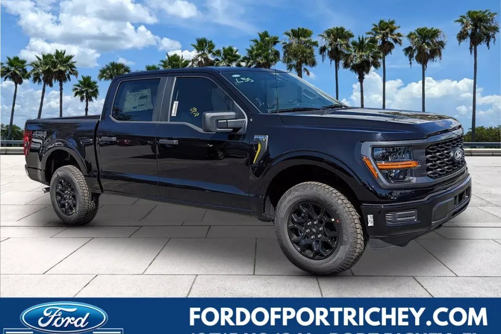 2025 Ford F-150 STX photo 1