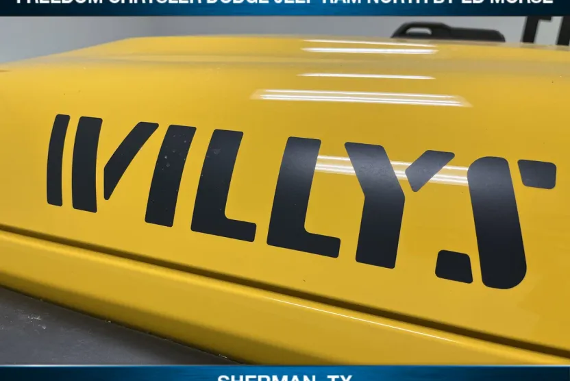 2020 Jeep Wrangler Unlimited Willys photo 1