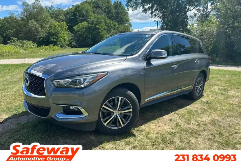 2018 Infiniti QX60 photo 1