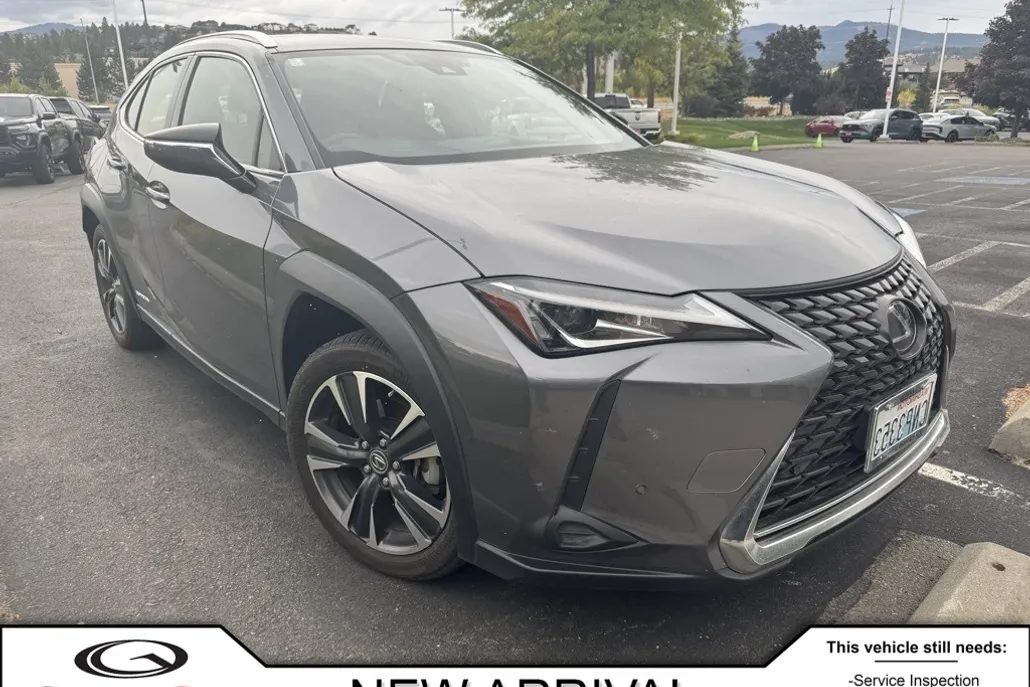2021 Lexus UX photo 1