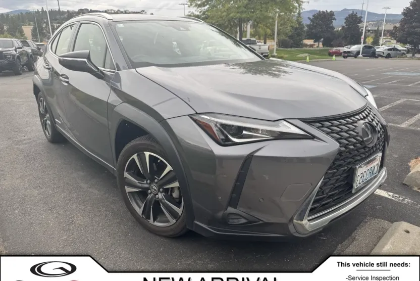 2021 Lexus UX photo 1