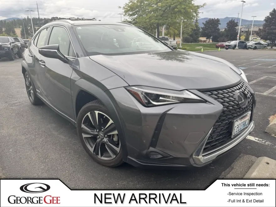 2021 Lexus UX photo 1