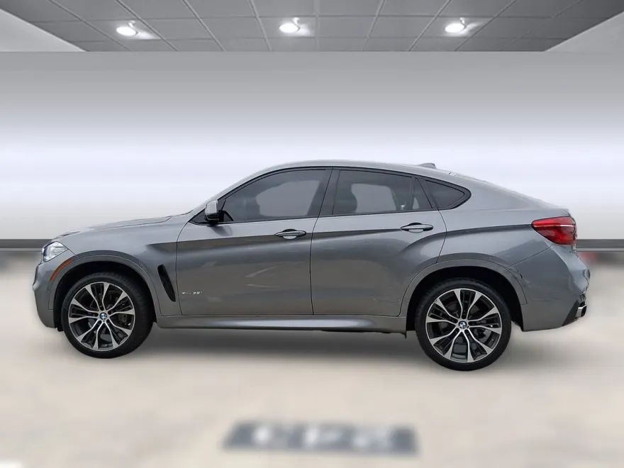 2019 Bmw X6 xDrive35i photo 1