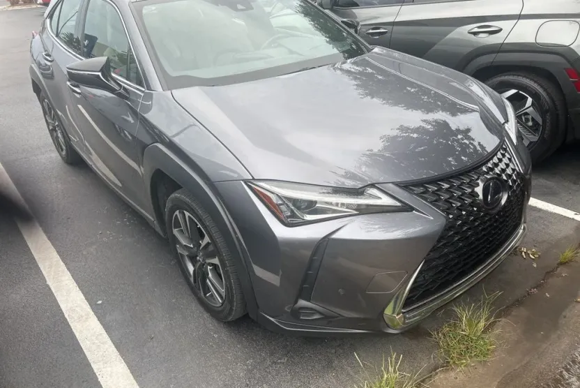 2021 Lexus UX 250h photo 1