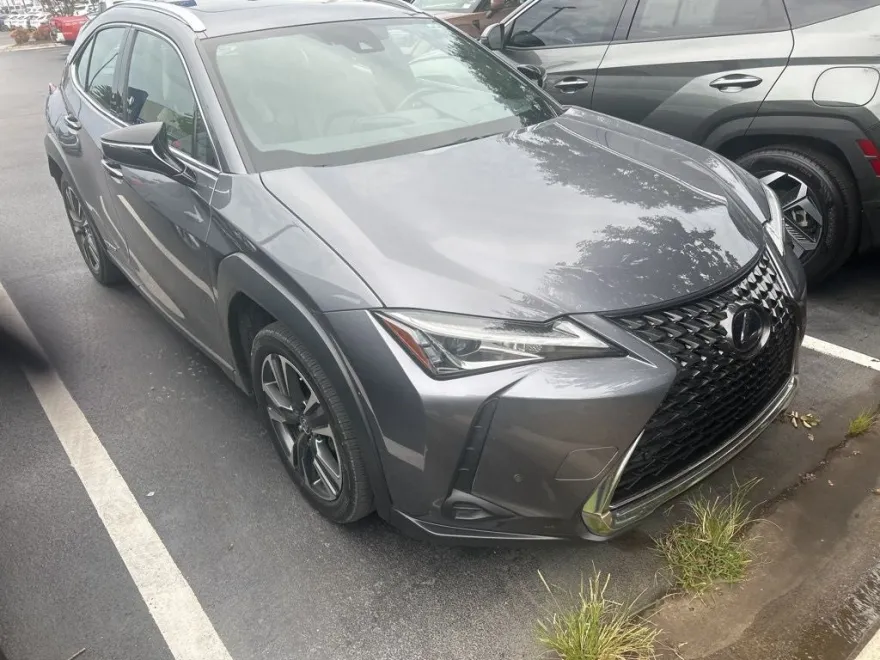 2021 Lexus UX 250h photo 1