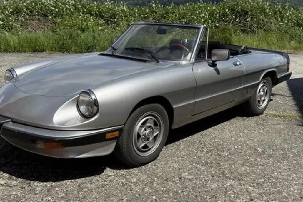 1984 Alfa Romeo Spider VELOCE photo 1