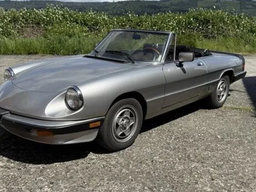 1984 Alfa Romeo Spider VELOCE photo 1