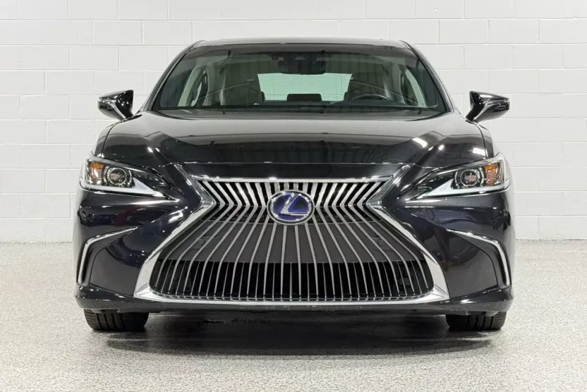 2020 Lexus ES 300h photo 1