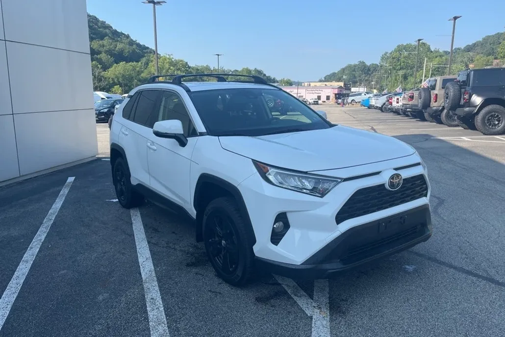 2019 Toyota RAV4 XLE photo 1