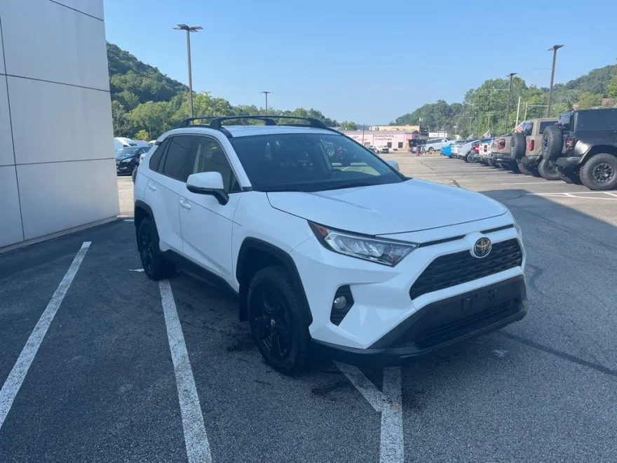 2019 Toyota RAV4 XLE photo 1