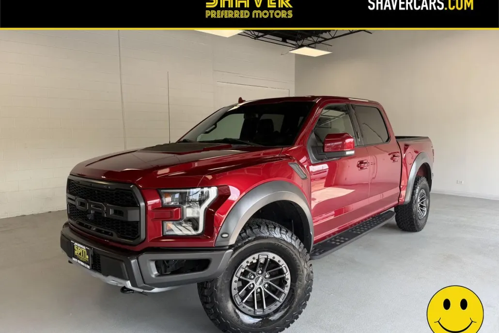 2019 Ford F-150 Raptor photo 1