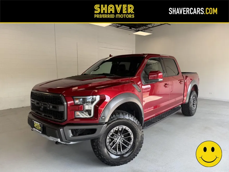 2019 Ford F-150 Raptor photo 1