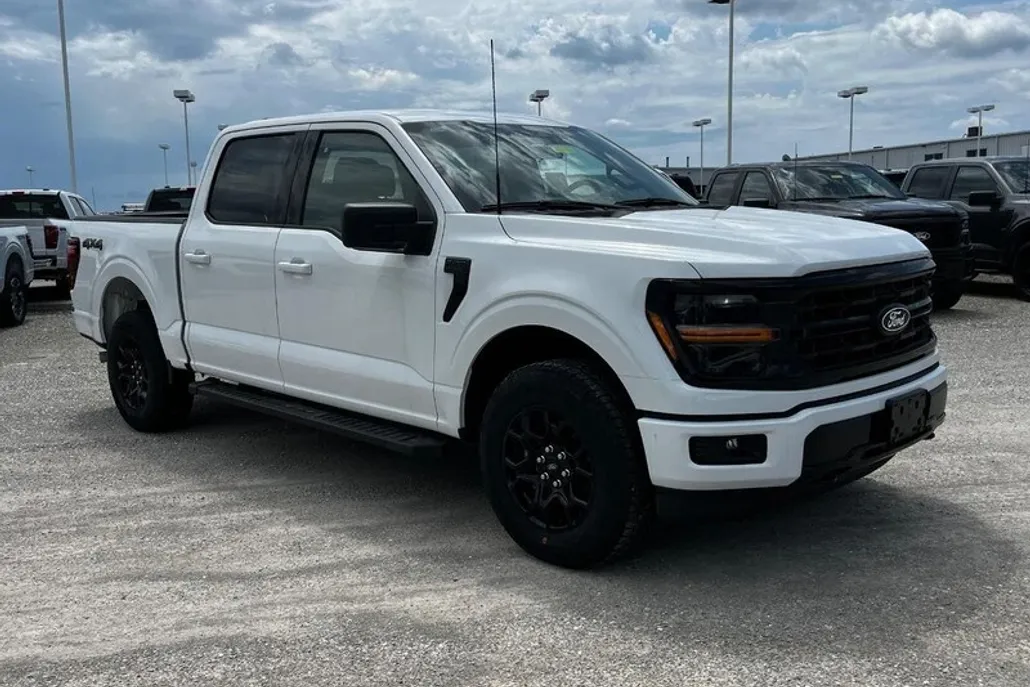 2025 Ford F-150 XLT photo 1