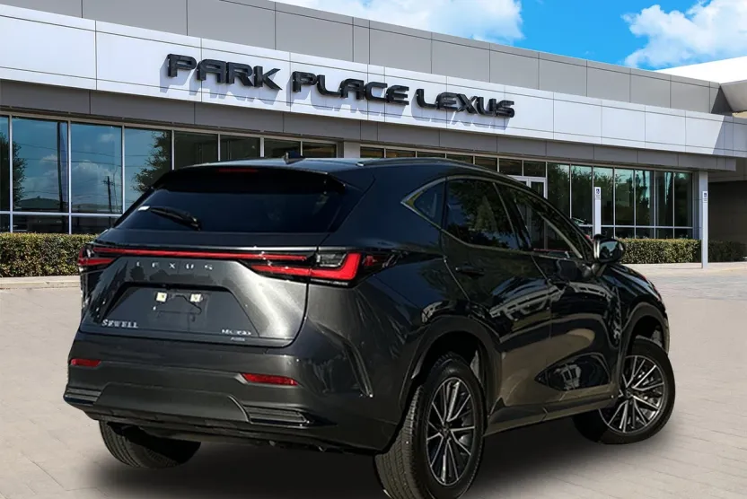 2024 Lexus NX 350 Luxury photo 1