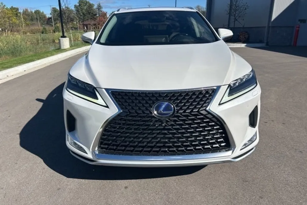 2020 Lexus RX 450hL Luxury photo 1