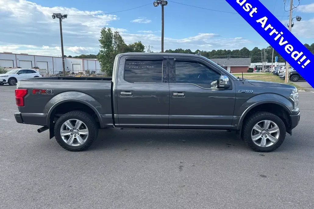 2019 Ford F-150 Platinum photo 1