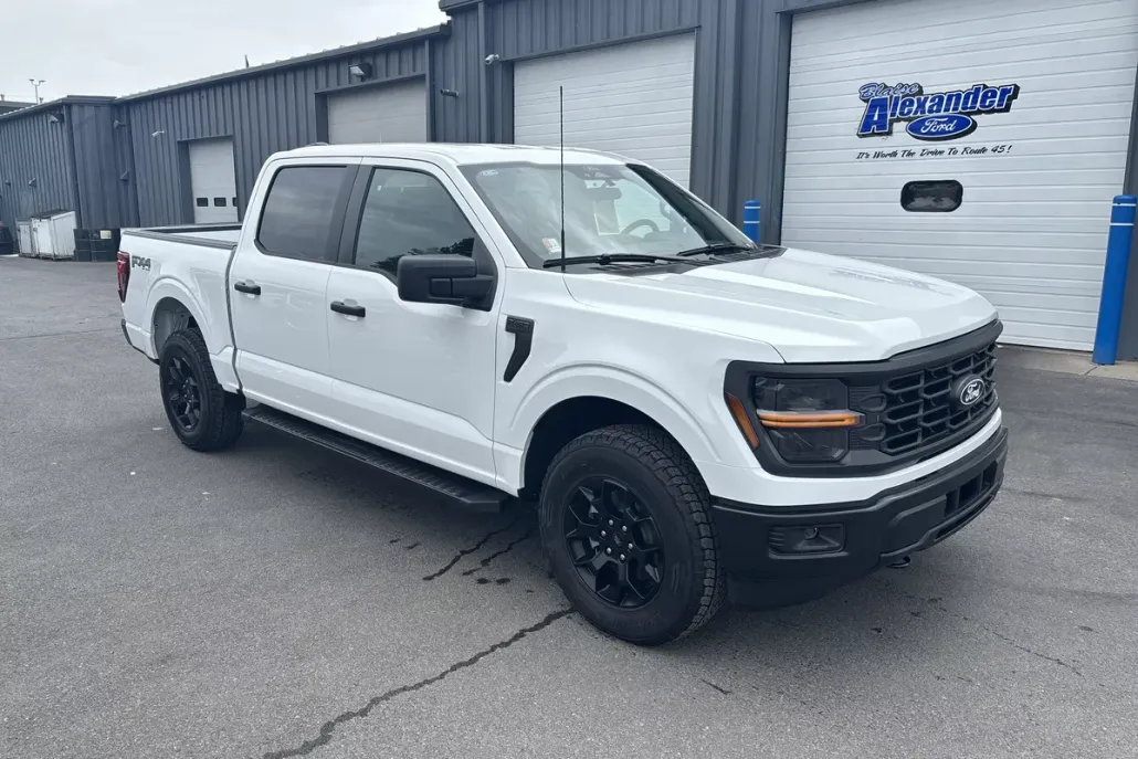 2025 Ford F-150 STX photo 1