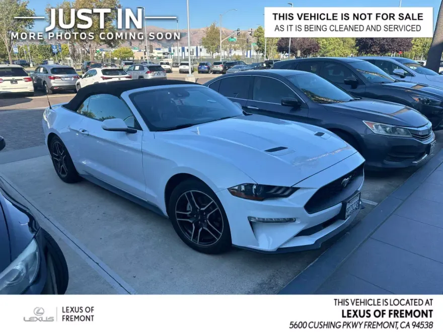 2022 Ford Mustang EcoBoost Premium photo 1