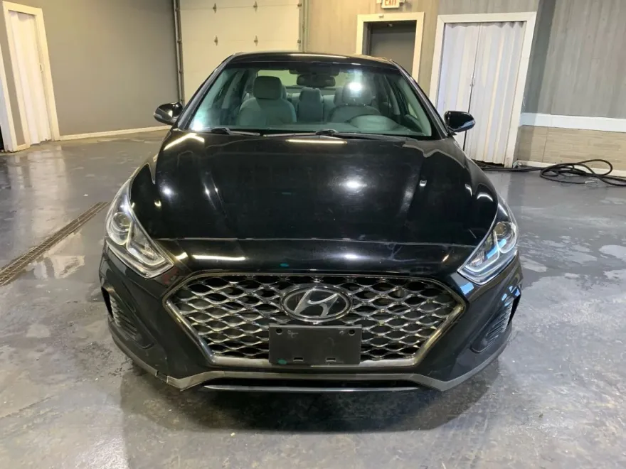 2019 Hyundai Sonata SEL photo 3
