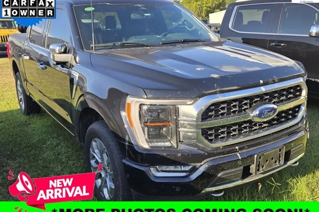 2023 Ford F-150 Platinum photo 1