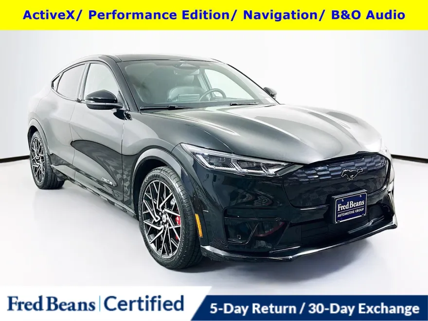 2021 Ford Mustang Mach-E GT photo 1