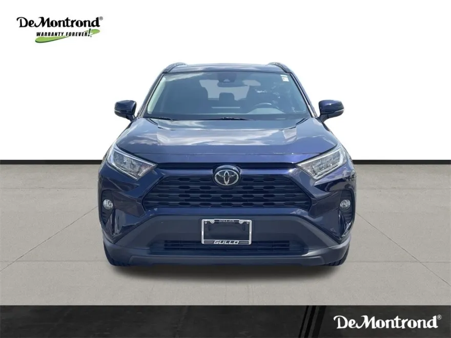 2019 Toyota RAV4 XLE photo 1
