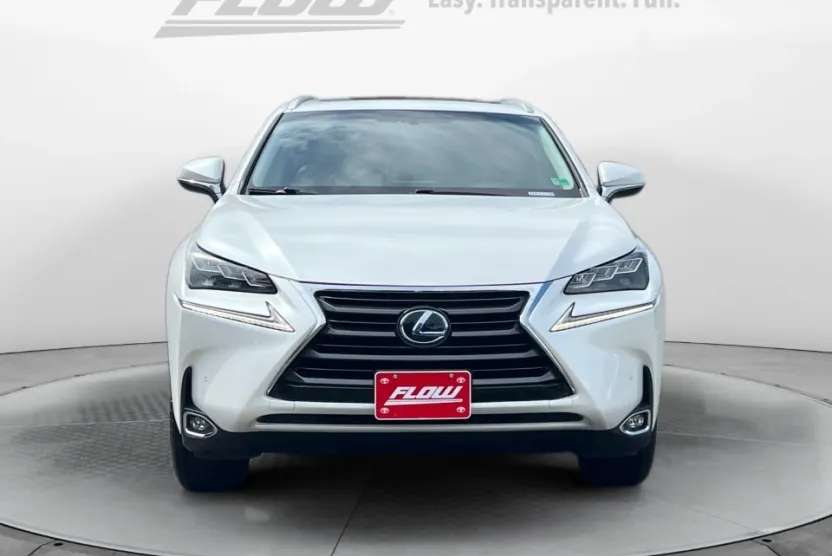 2015 Lexus NX 300h AWD photo 1
