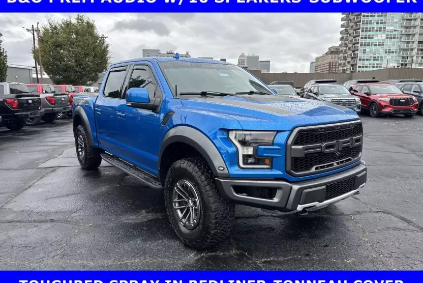 2019 Ford F-150 Raptor photo 1