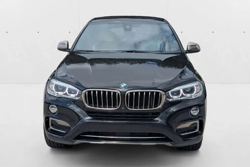 2019 Bmw X6 sDrive35i photo 1