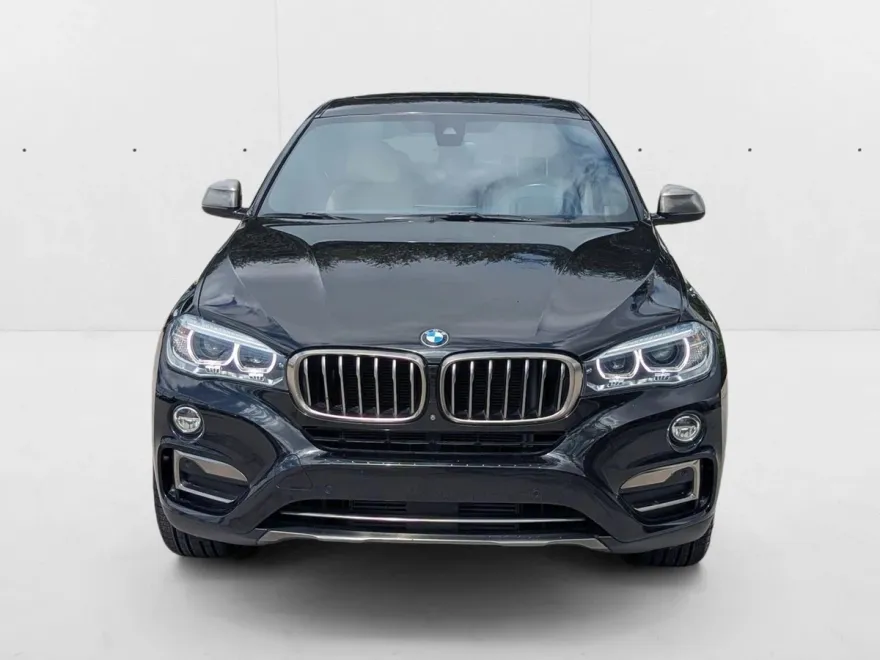 2019 Bmw X6 sDrive35i photo 1