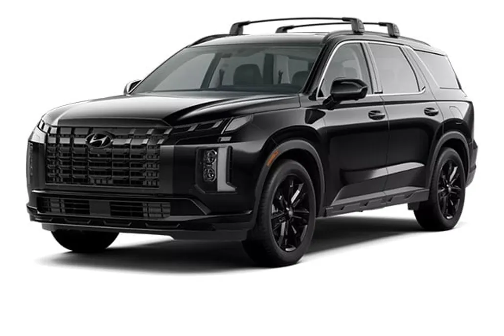 2025 Hyundai Palisade XRT photo 1