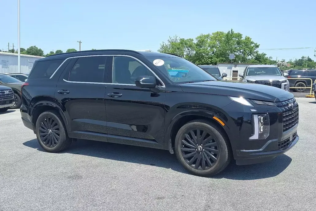 2025 Hyundai Palisade Calligraphy photo 1