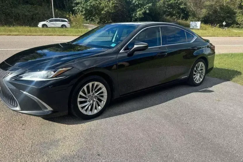 2020 Lexus ES 300h Luxury photo 1