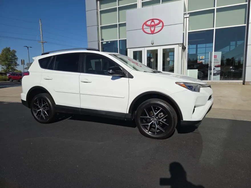 2018 Toyota RAV4 SE photo 1