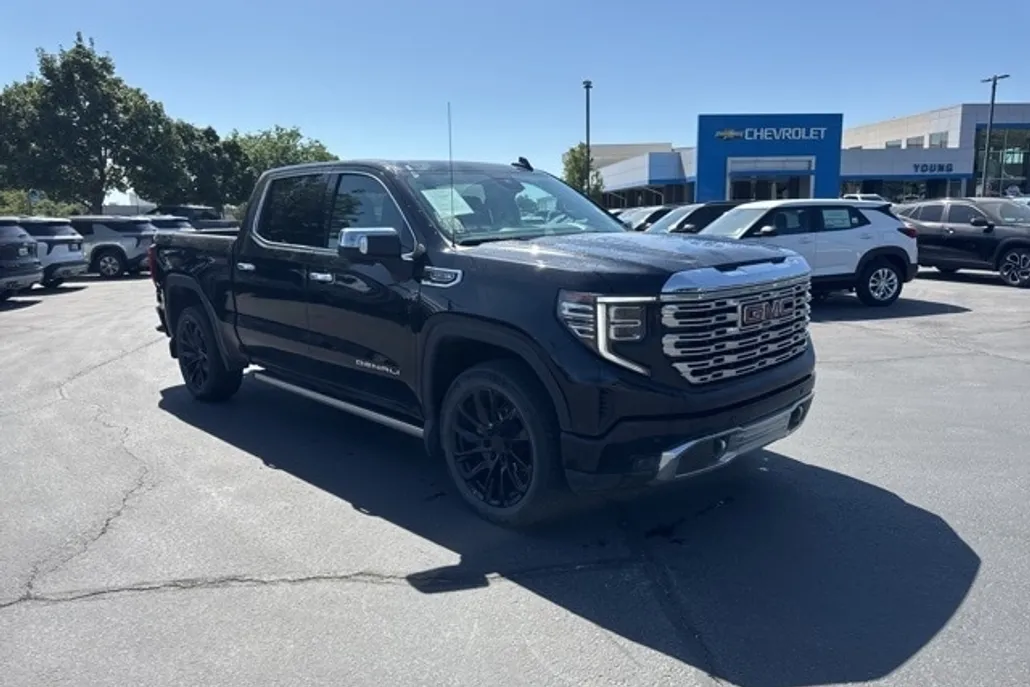 2022 Gmc Sierra 1500 Denali photo 1