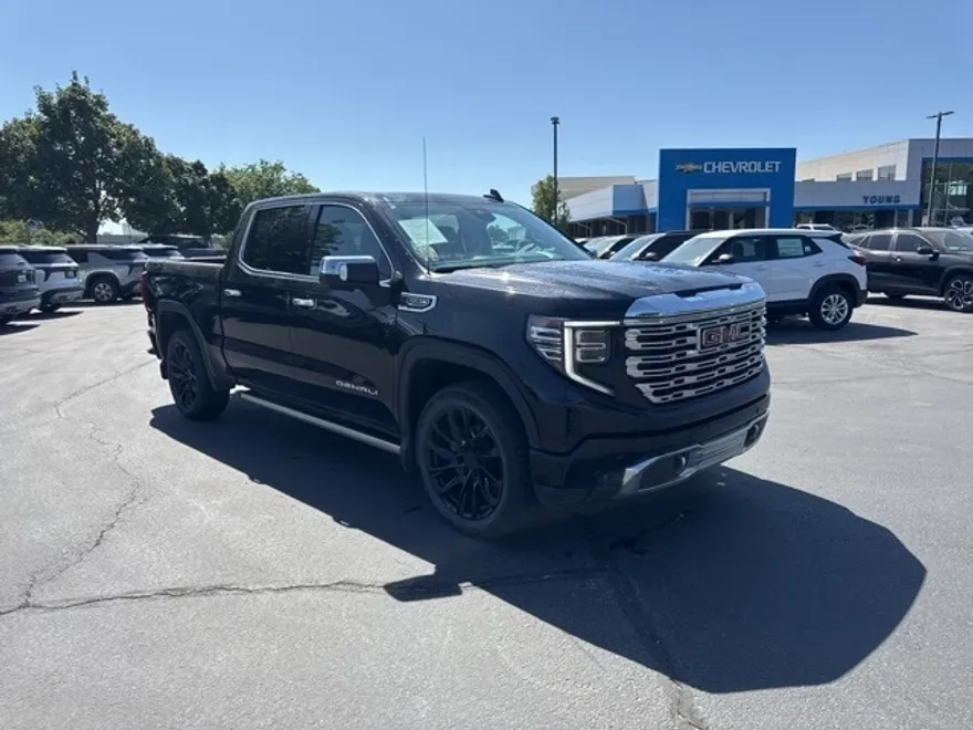2022 Gmc Sierra 1500 Denali photo 1