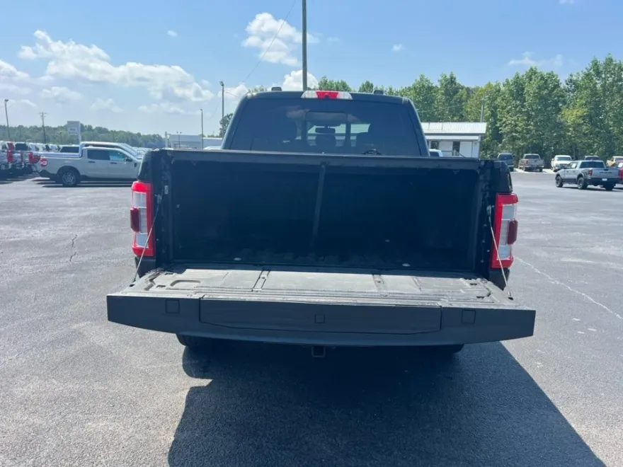 2021 Ford F-150 Platinum photo 7