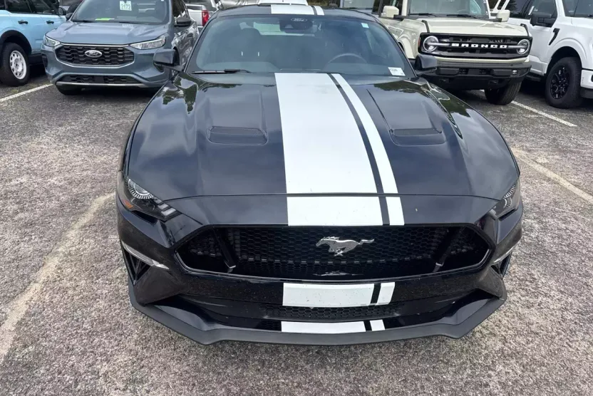 2021 Ford Mustang GT photo 1