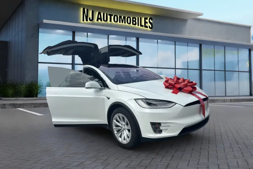 2019 Tesla Model X 75D photo 1